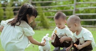 Family Picnic Ideas for Parents With Young Children