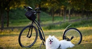 Easy Nature Activities for Families With Children